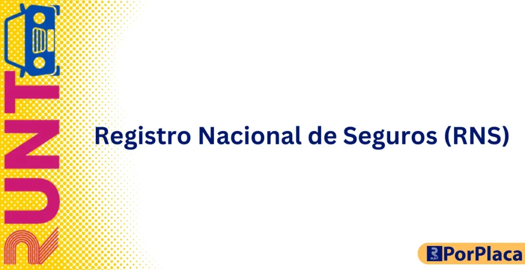 Registro Nacional de Seguros (RNS)